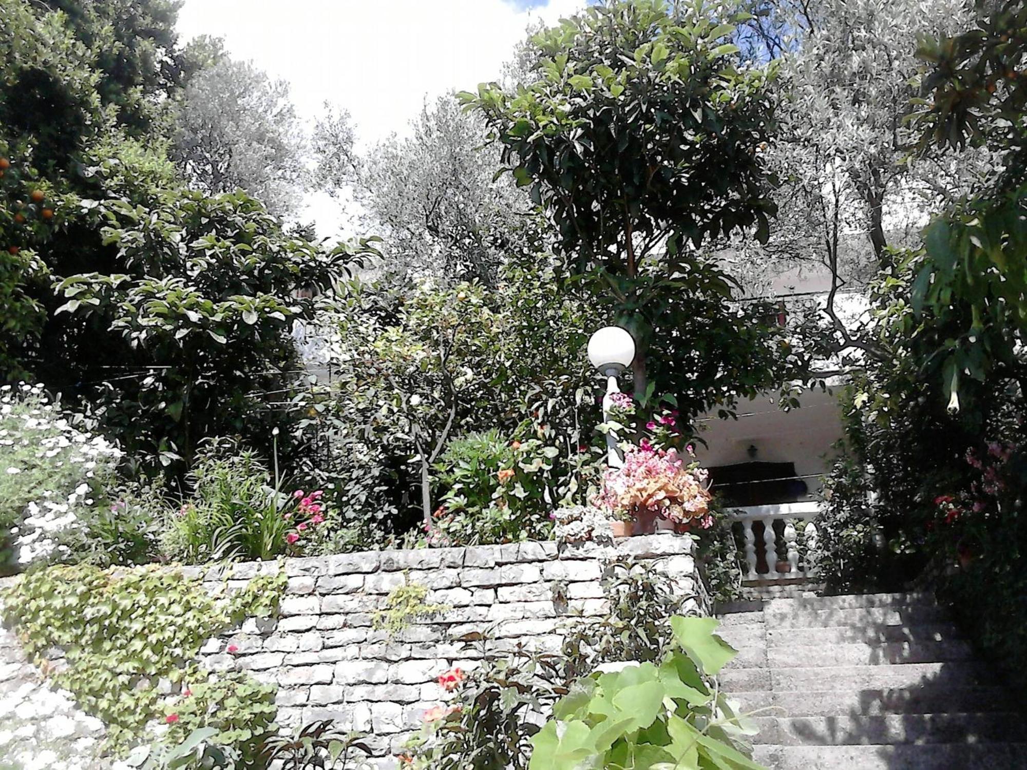 Oaza Guest House Sveti Stefan Extérieur photo